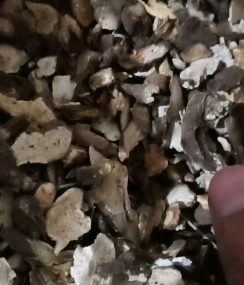 【聚便宜】白术可打粉无硫白术各种规格中药批发