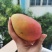 【聚便宜】海南贵妃芒超甜多汁，支持一件代发