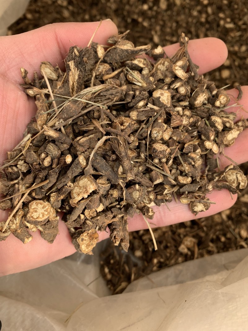 【黑柴胡】黑柴胡正品净货内蒙古物美价廉量大从优