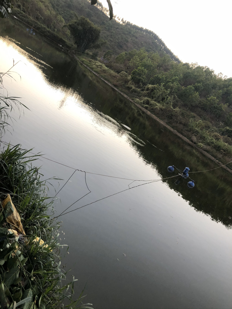 高明个人鱼塘用地转让