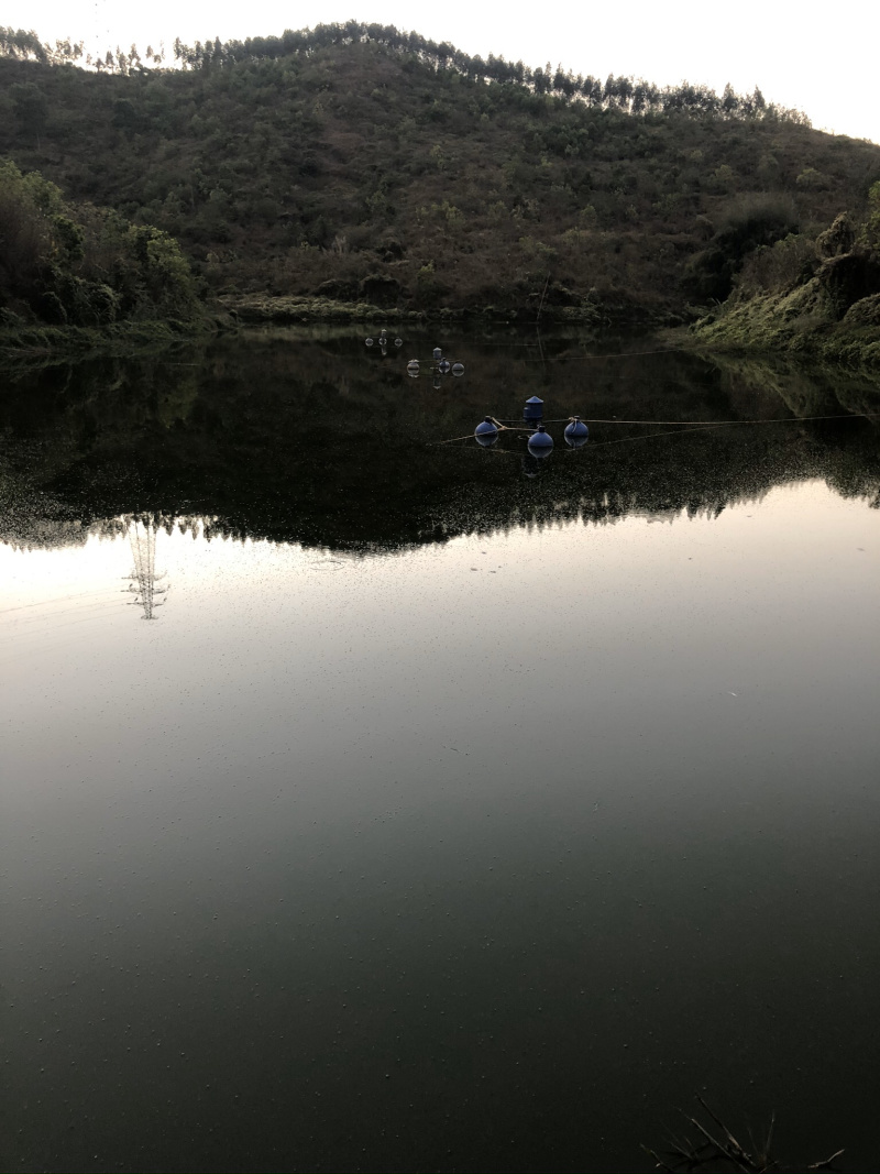 高明个人鱼塘用地转让
