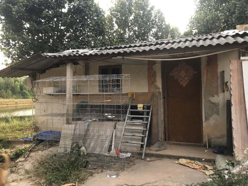 高明个人鱼塘用地转让