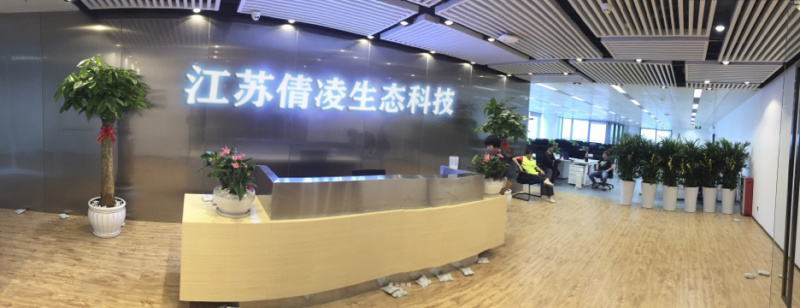 进口鲁梅克斯种子多年生四季常青鸡鸭鹅鱼兔牧草种子
