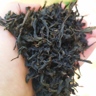 大红袍茶叶炭焙肉桂大红袍贡茶岩韵大红袍茶1斤2罐礼盒套装