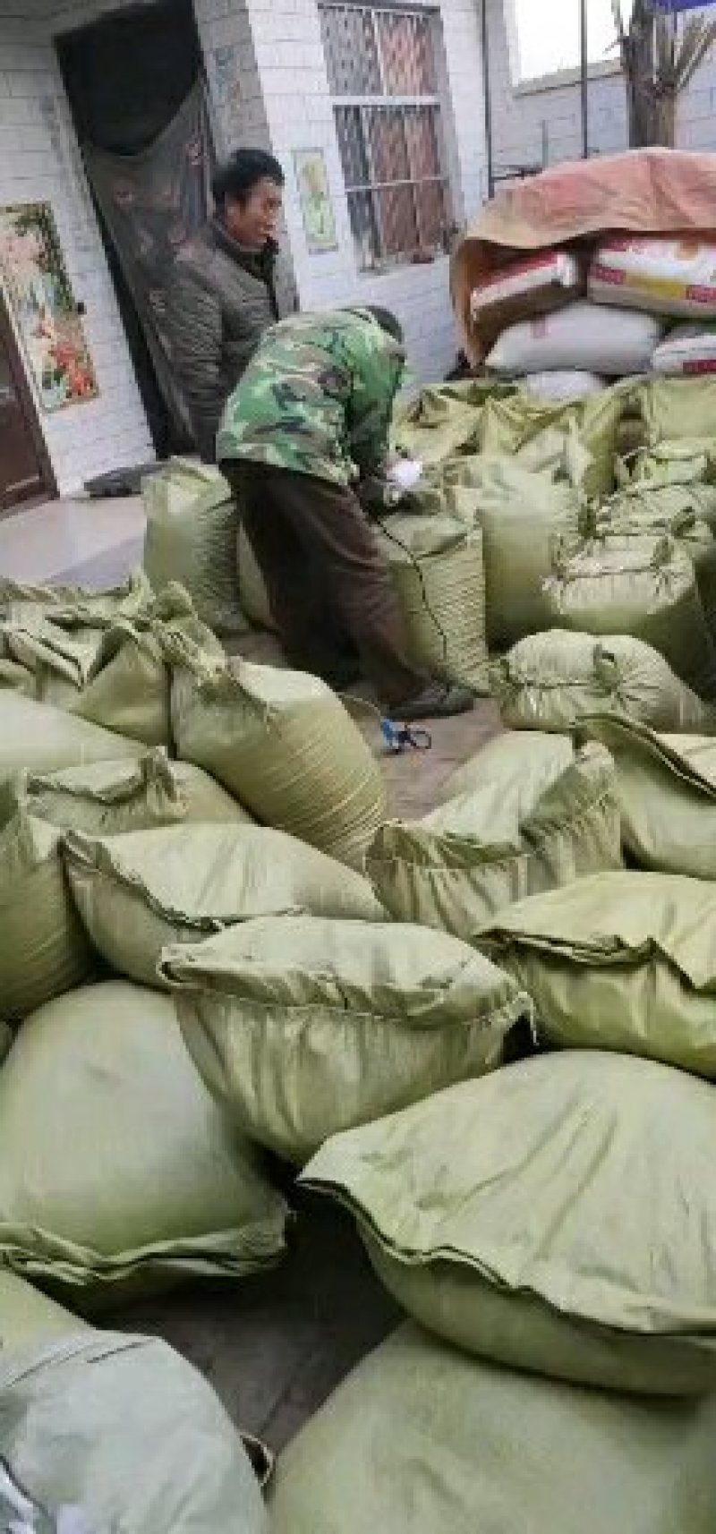 紫苏籽需要的客户抓紧时间，量大优惠，支持全国物流发货，