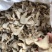 白芨营养丰富正宗现货秒发