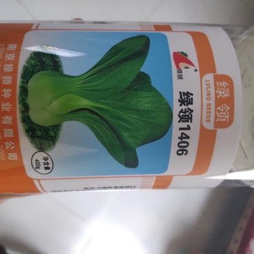 绿领1406青梗菜种子
