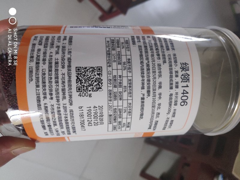 绿领1406青梗菜种子