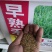 剪股颖结缕草地毯草草坪种子低矮免修剪庭院别墅高尔夫草籽