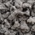 产地直供【陕西汉中干猪苓】全干微沙饱满中统货符合药典标准