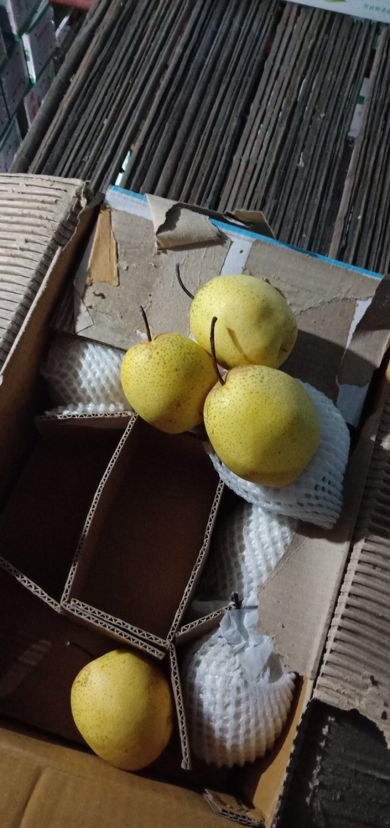 新梨七号，早香酥梨，绿宝石各种水果。诚邀各地水果商