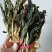 白菜干干白菜脱水蔬菜梅菜干广式靓汤农家菜