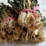 白菜干干白菜脱水蔬菜梅菜干广式靓汤农家菜