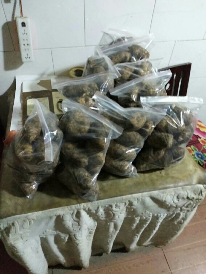 正宗小草坝天麻，一手货源价格优惠