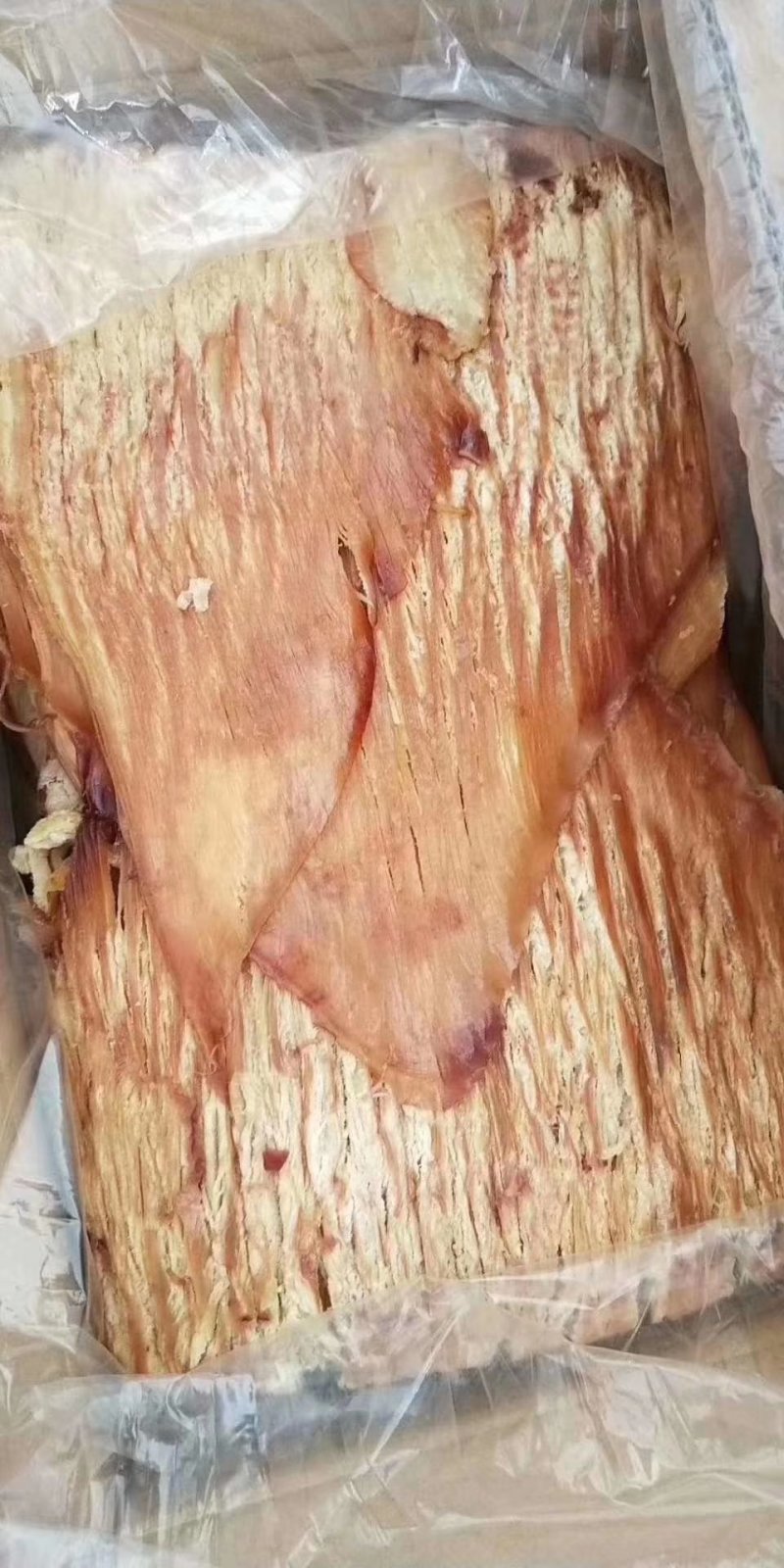 手撕鱿鱼翅，风琴鱿鱼