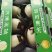 玉菇甜瓜，绵绵的果肉清爽可口，4月中旬上市预售