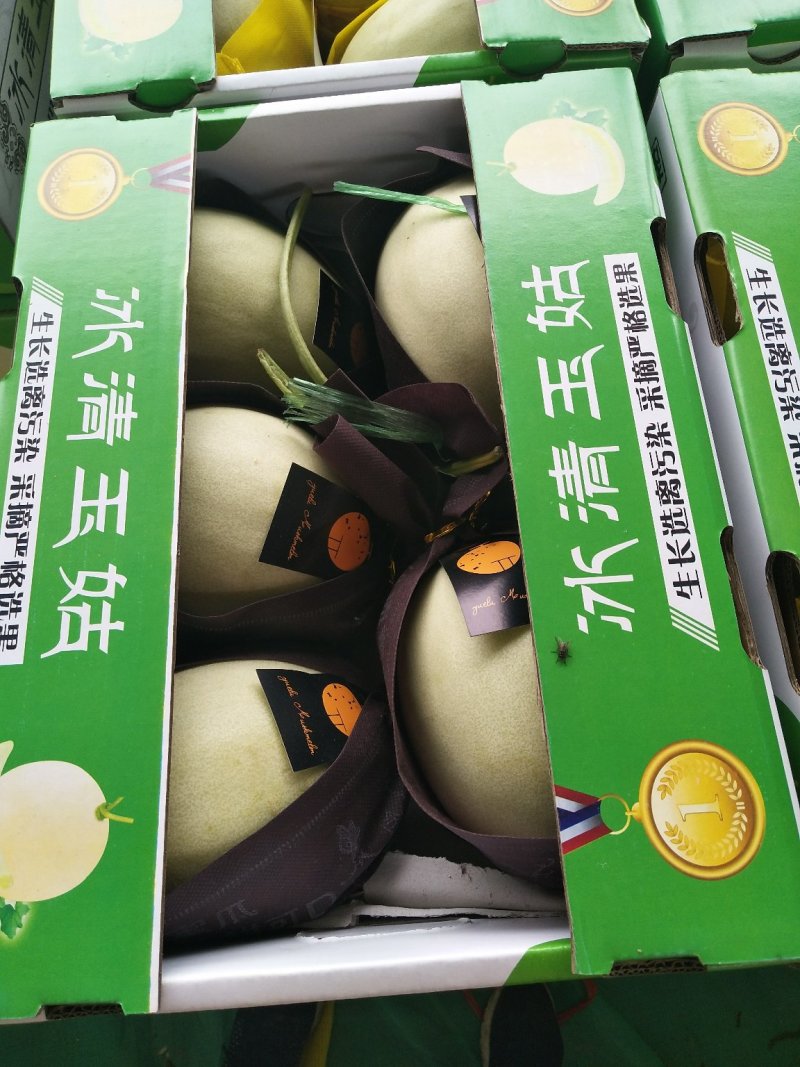 玉菇甜瓜，绵绵的果肉清爽可口，4月中旬上市预售