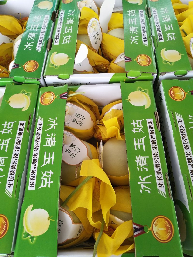 玉菇甜瓜，绵绵的果肉清爽可口，4月中旬上市预售