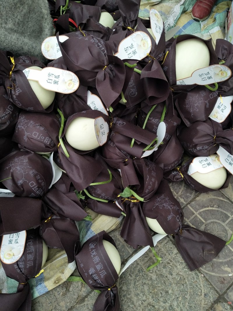 玉菇甜瓜，绵绵的果肉清爽可口，4月中旬上市预售