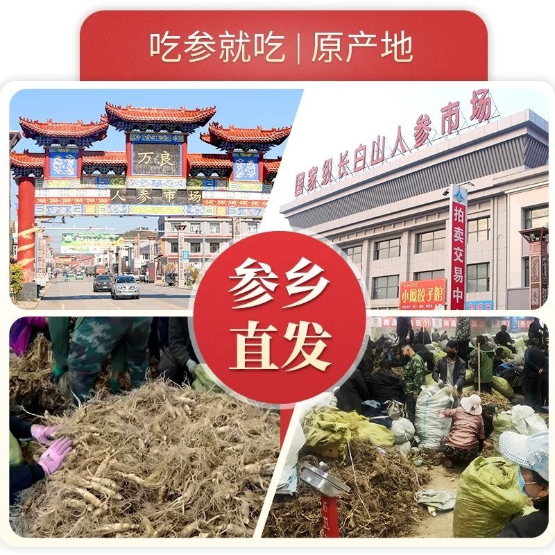 回头客高品质多长白山整条人参红参棒别直参500克包邮