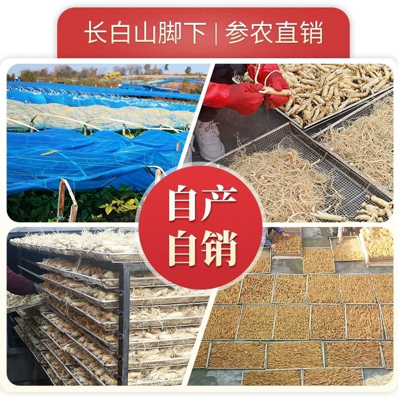 回头客高品质多长白山整条人参红参棒别直参500克包邮