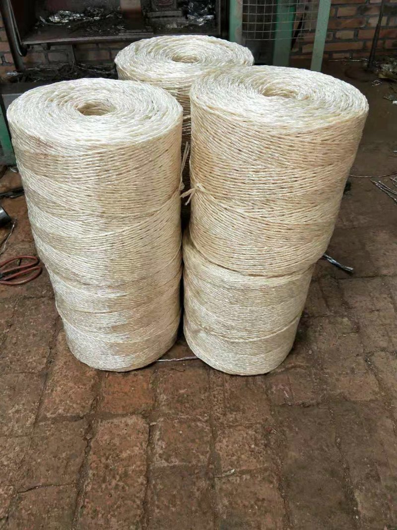 果树拉枝绳，樱桃树，桃树，枣树，杨树拉枝
