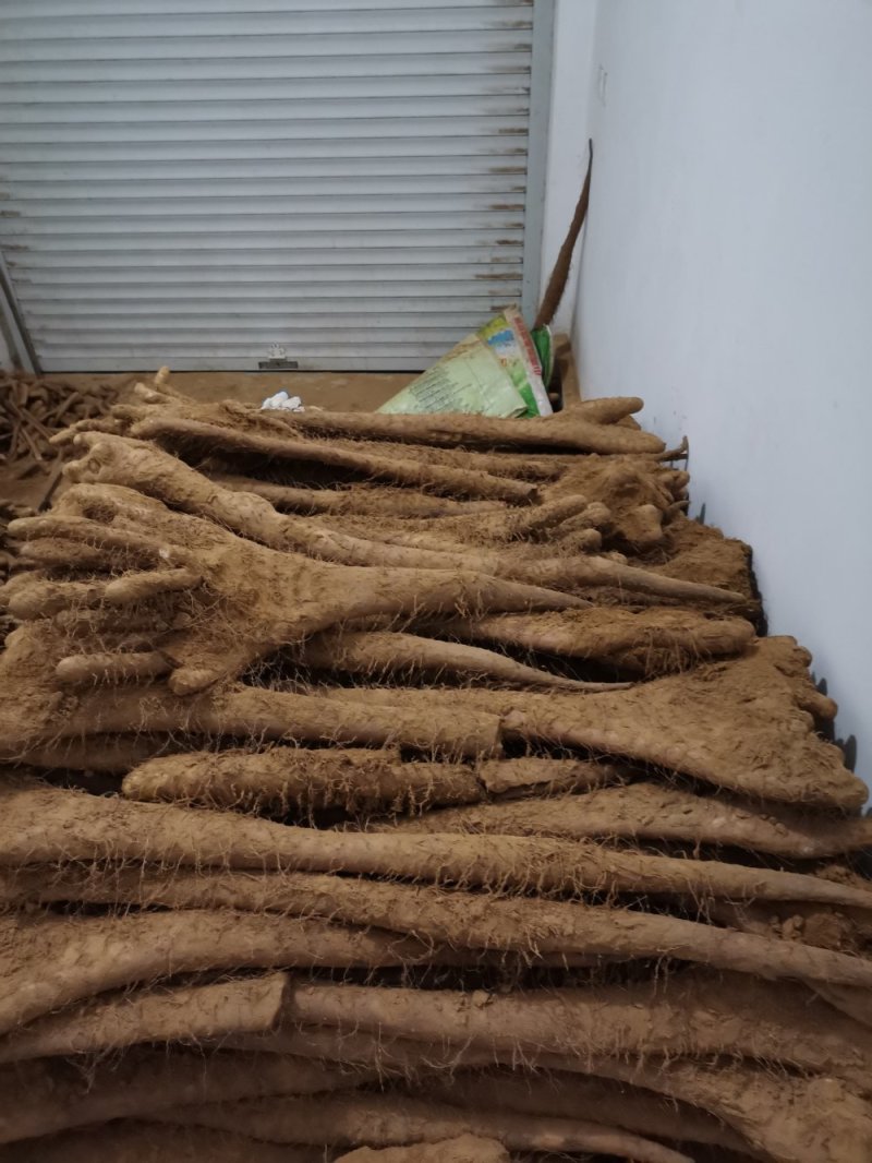 白玉佛手山药各种各样的，好吃不贵