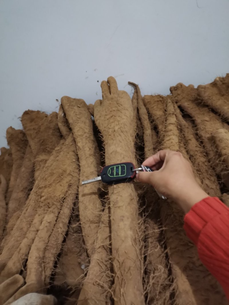 白玉佛手山药各种各样的，好吃不贵