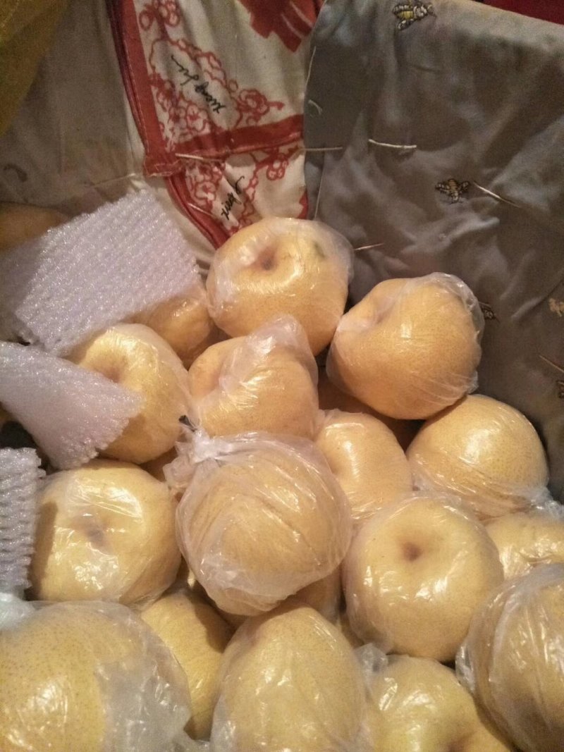 乾县精品酥梨现在开始大量上市了，需要的客商请抓紧