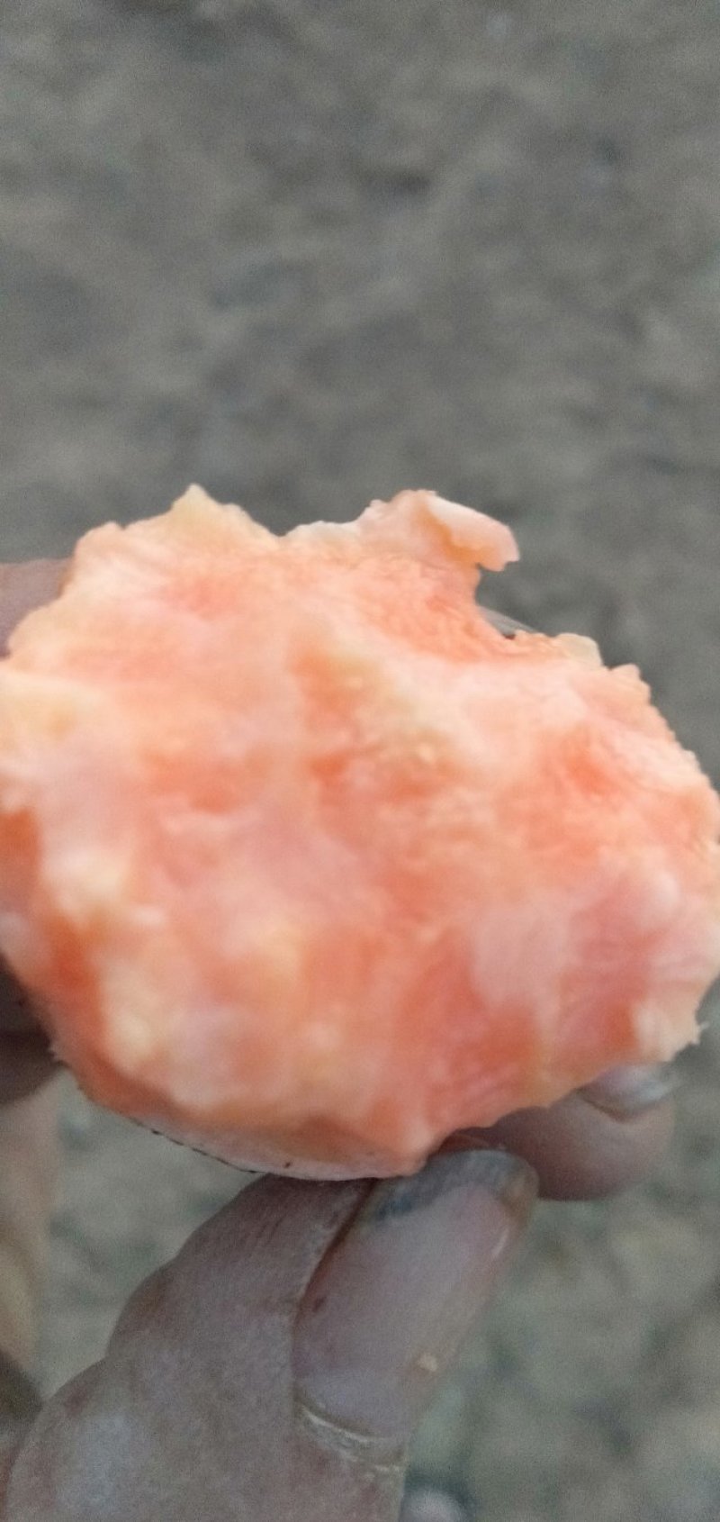 红皮红心红苏薯八号红薯(小花叶)西瓜红。产地山岭地直销。
