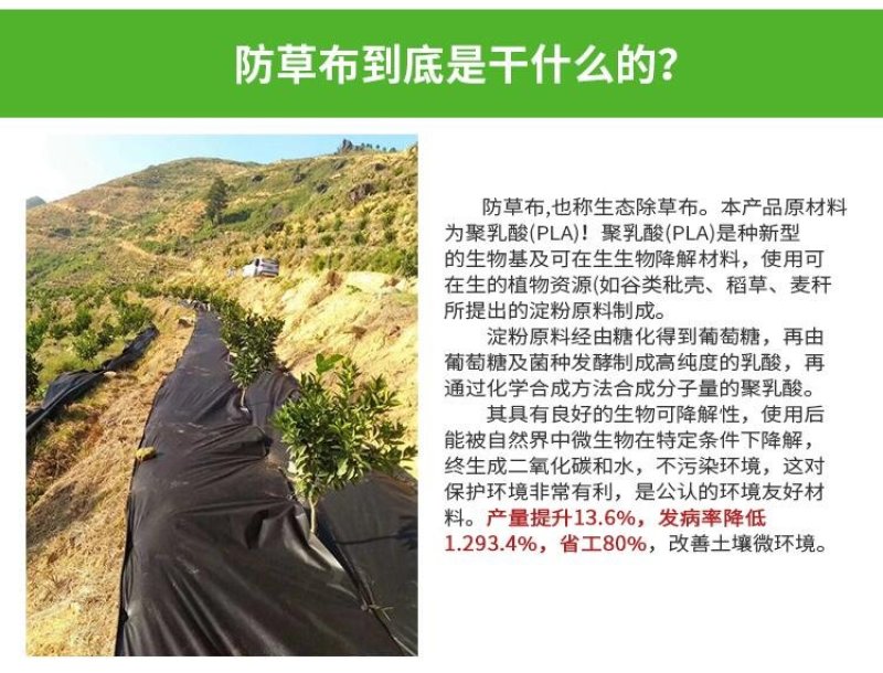 生态PLA降解防草布除草布地布地膜布透水透气保湿无公害