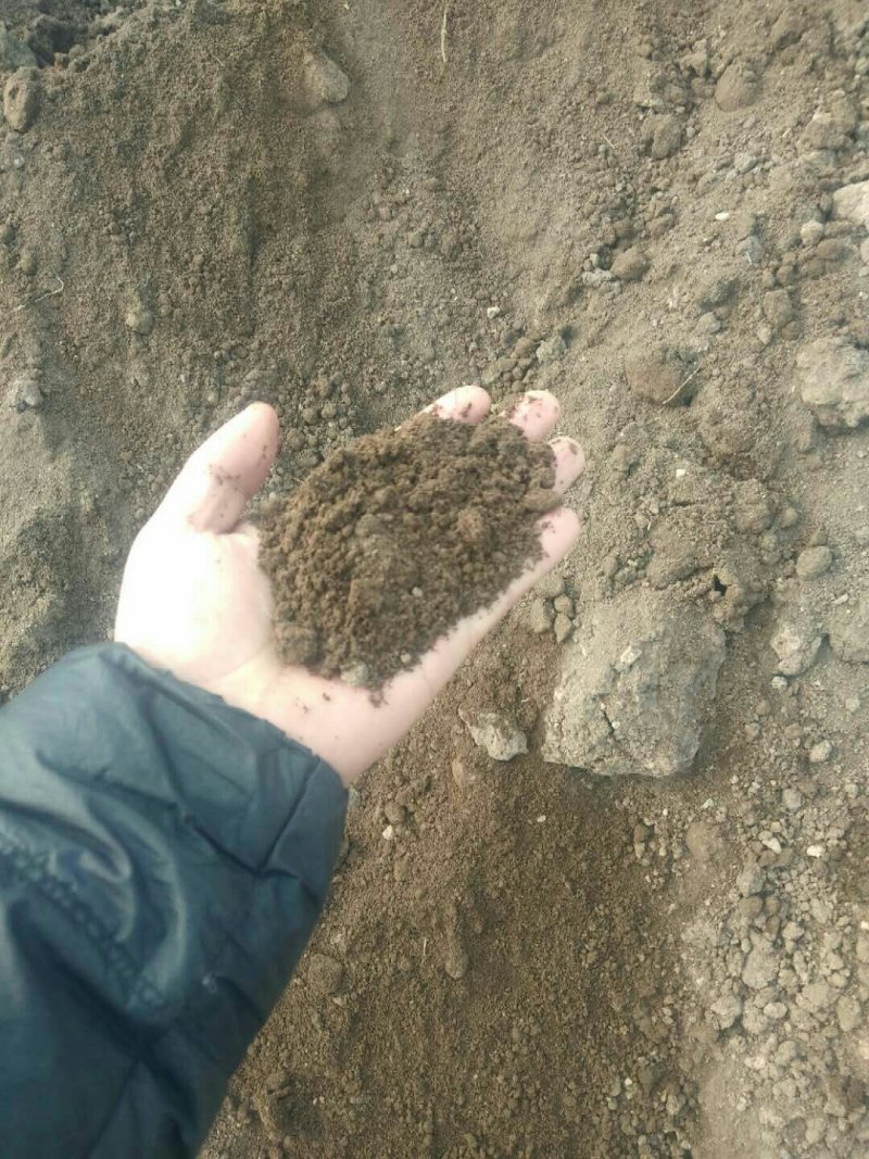 蚯蚓粪营养土、花卉果树蔬菜专用肥、纯牛粪养殖的蚯蚓粪