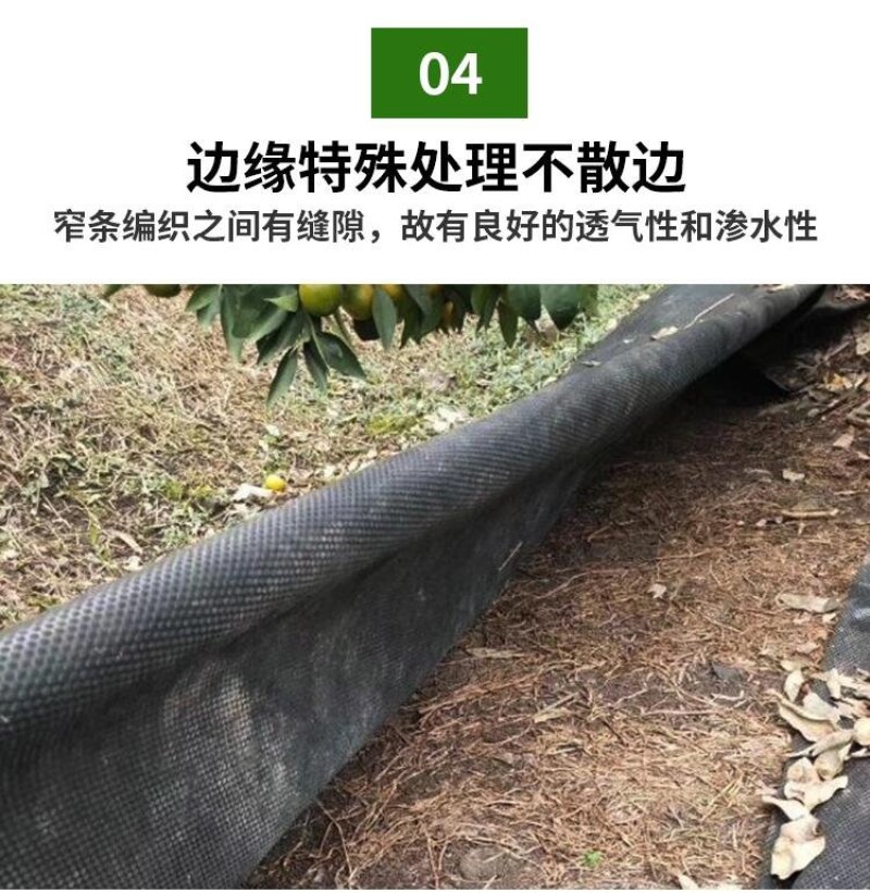 生态PLA降解防草布除草布地布地膜布透水透气保湿无公害
