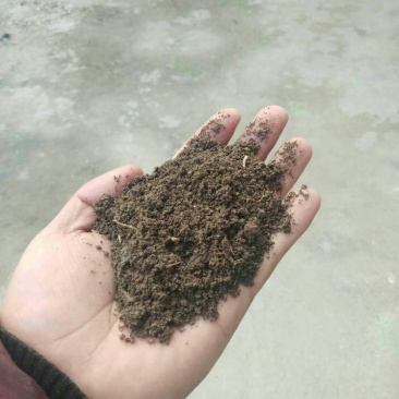 蚯蚓粪营养土、花卉果树蔬菜专用肥、纯牛粪养殖的蚯蚓粪