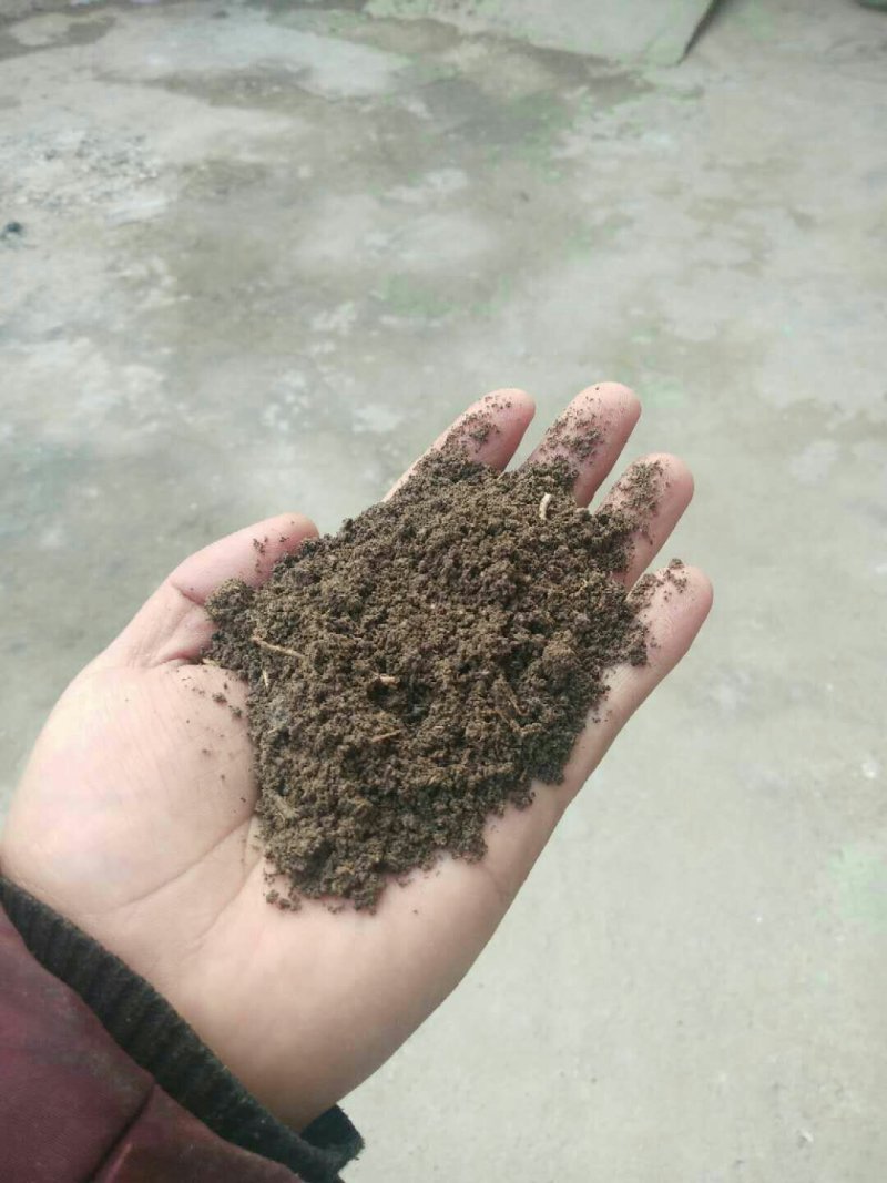 蚯蚓粪营养土、花卉果树蔬菜专用肥、纯牛粪养殖的蚯蚓粪