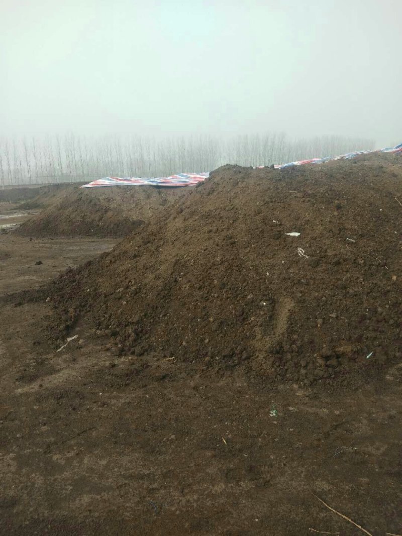 蚯蚓粪营养土、花卉果树蔬菜专用肥、纯牛粪养殖的蚯蚓粪