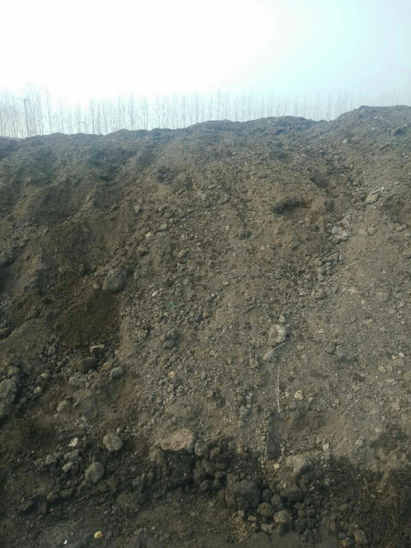 蚯蚓粪营养土、花卉果树蔬菜专用肥、纯牛粪养殖的蚯蚓粪