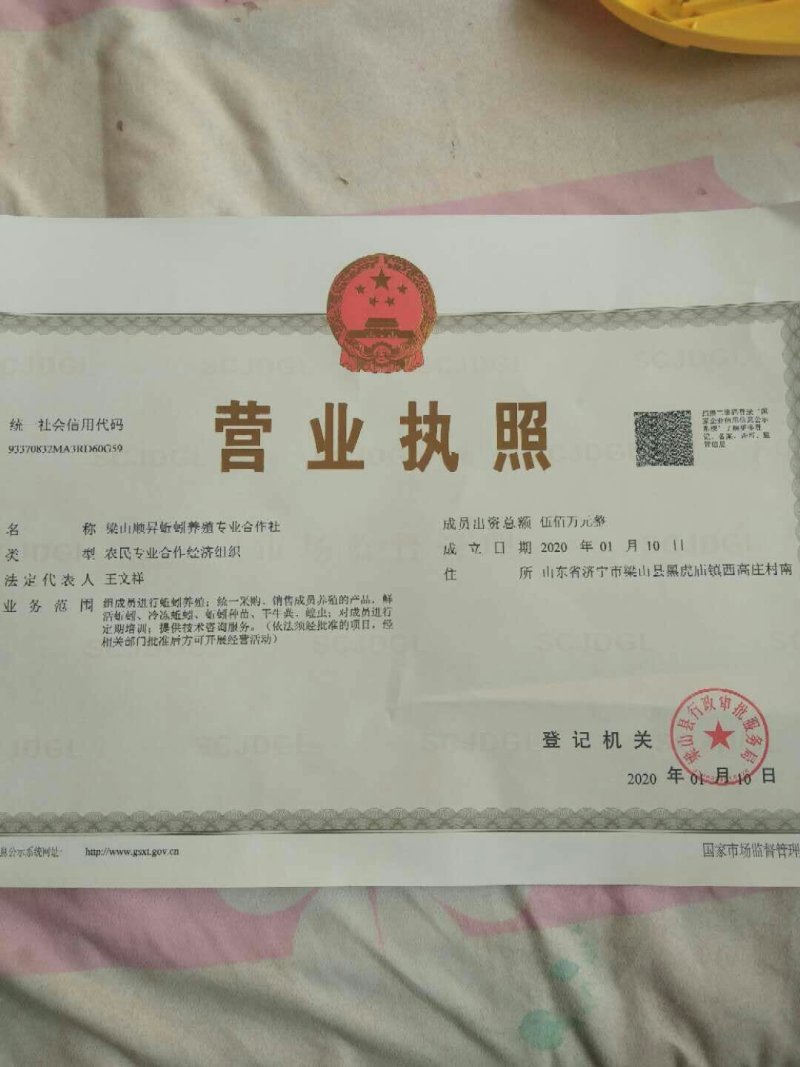 蚯蚓粪营养土、花卉果树蔬菜专用肥、纯牛粪养殖的蚯蚓粪