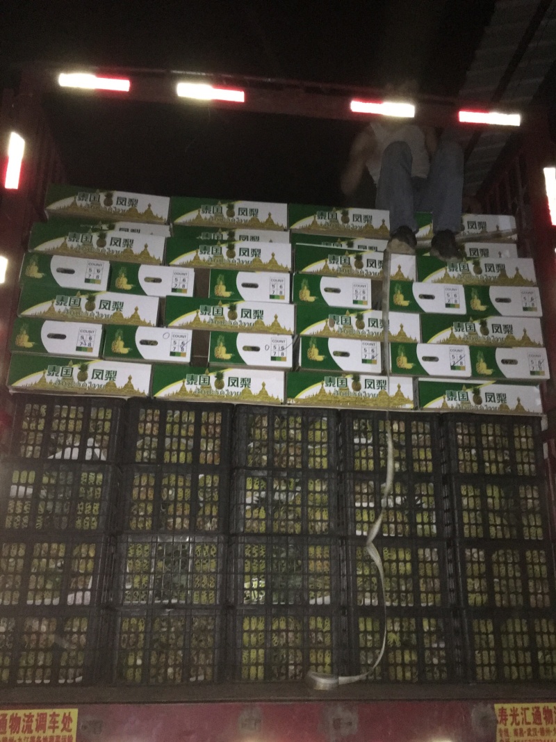 精品西双版纳景洪凤梨生态种植大量供应，产地直销，自产自销