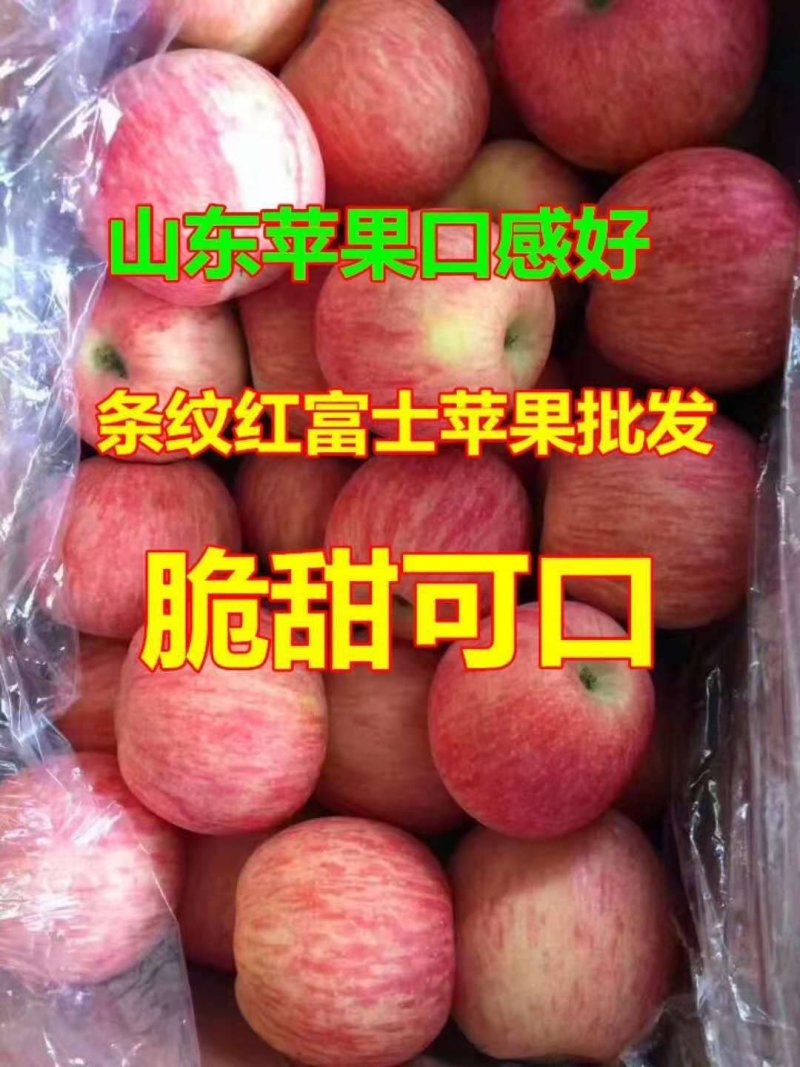 红富士苹果产地热卖1条纹全红苹果，质量保证，任性挑选价格
