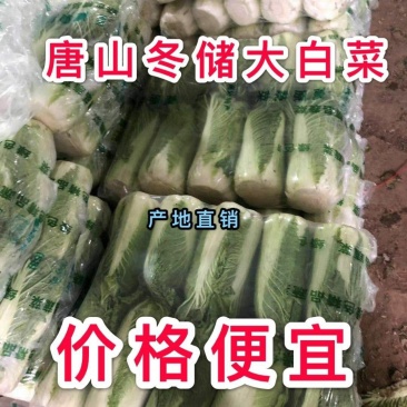 油绿三号白菜，唐山市玉田县大白菜之乡各种包装