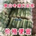油绿三号白菜，唐山市玉田县大白菜之乡各种包装