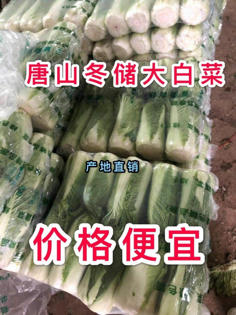 油绿三号白菜，唐山市玉田县大白菜之乡各种包装