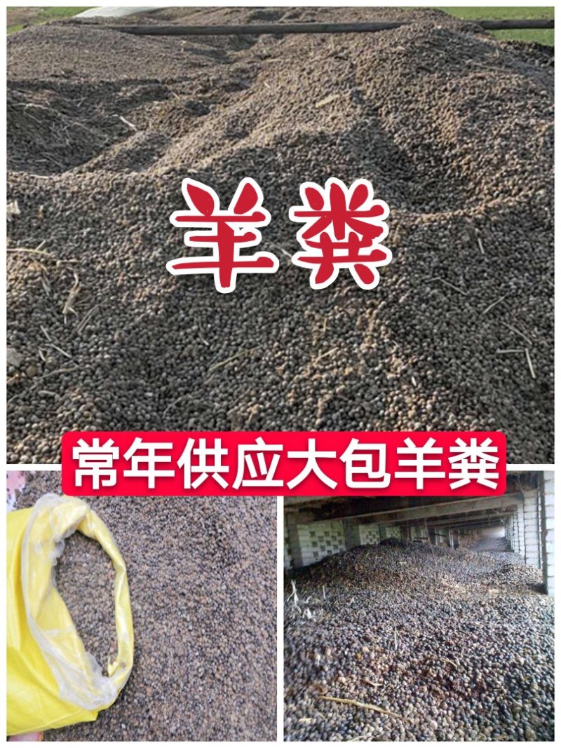 《纯风干羊粪》纯干无杂质厂家常年供货可实地考察订购