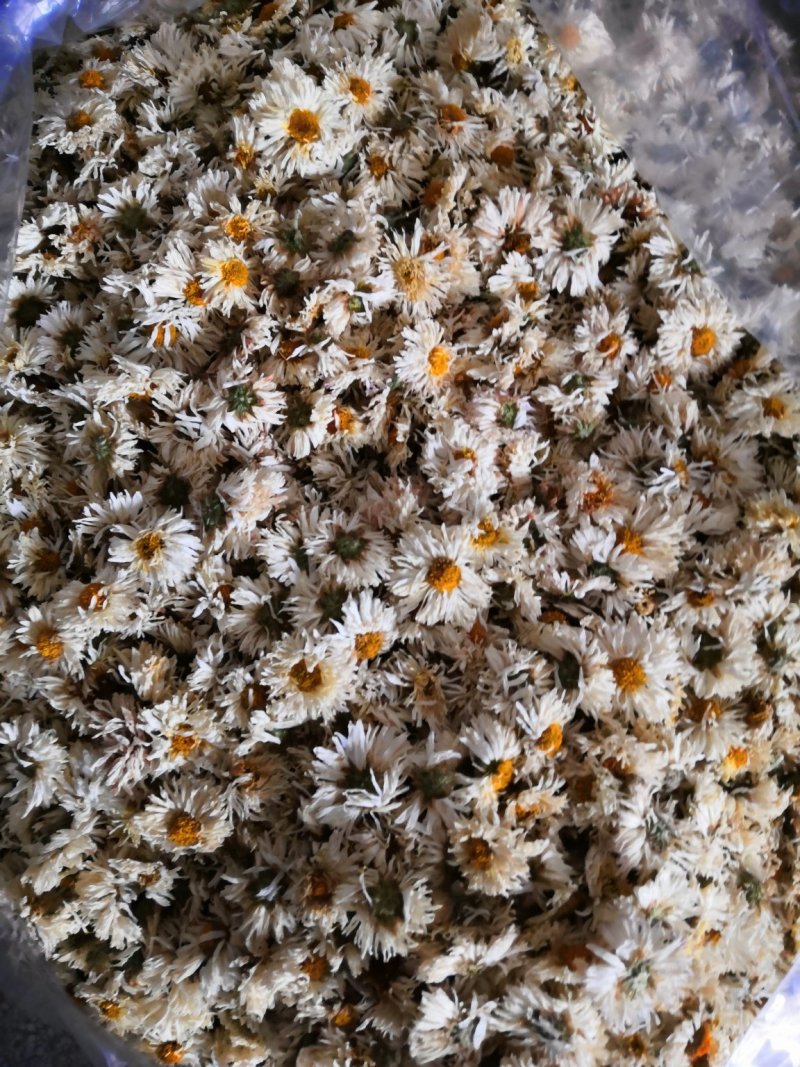 滁菊滁州贡菊白菊去火菊花茶