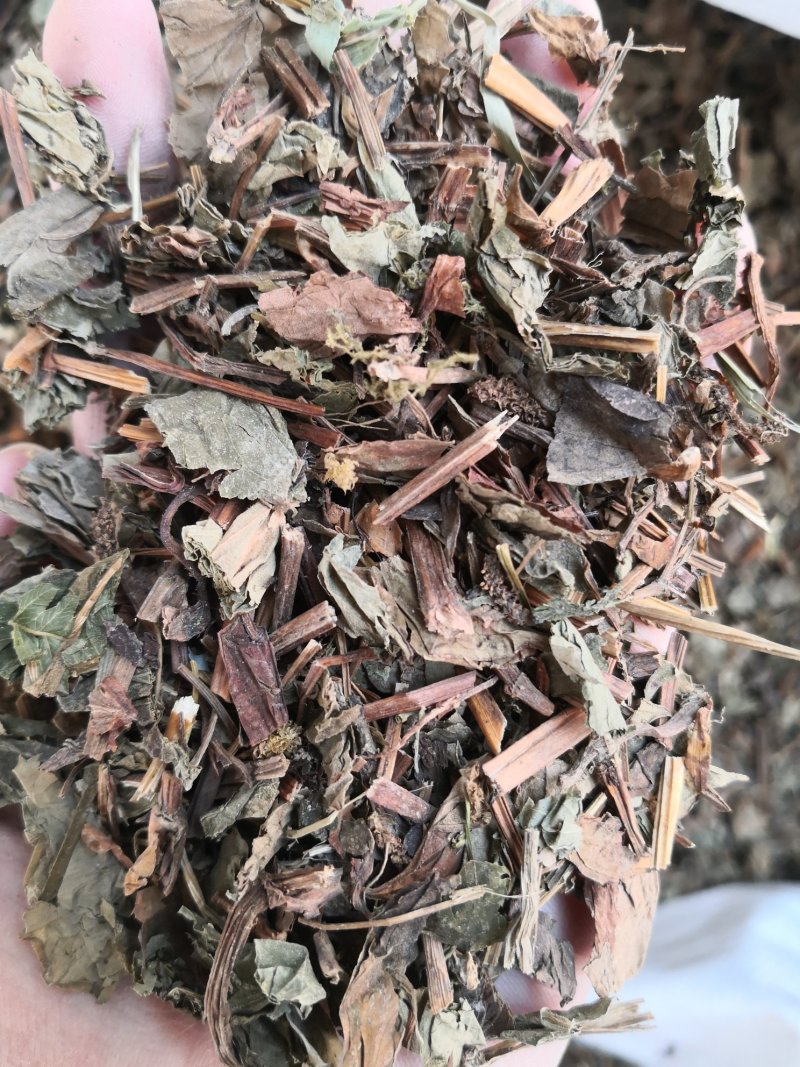 鱼腥草野生鱼腥草无硫无杂质正品保证非便宜货