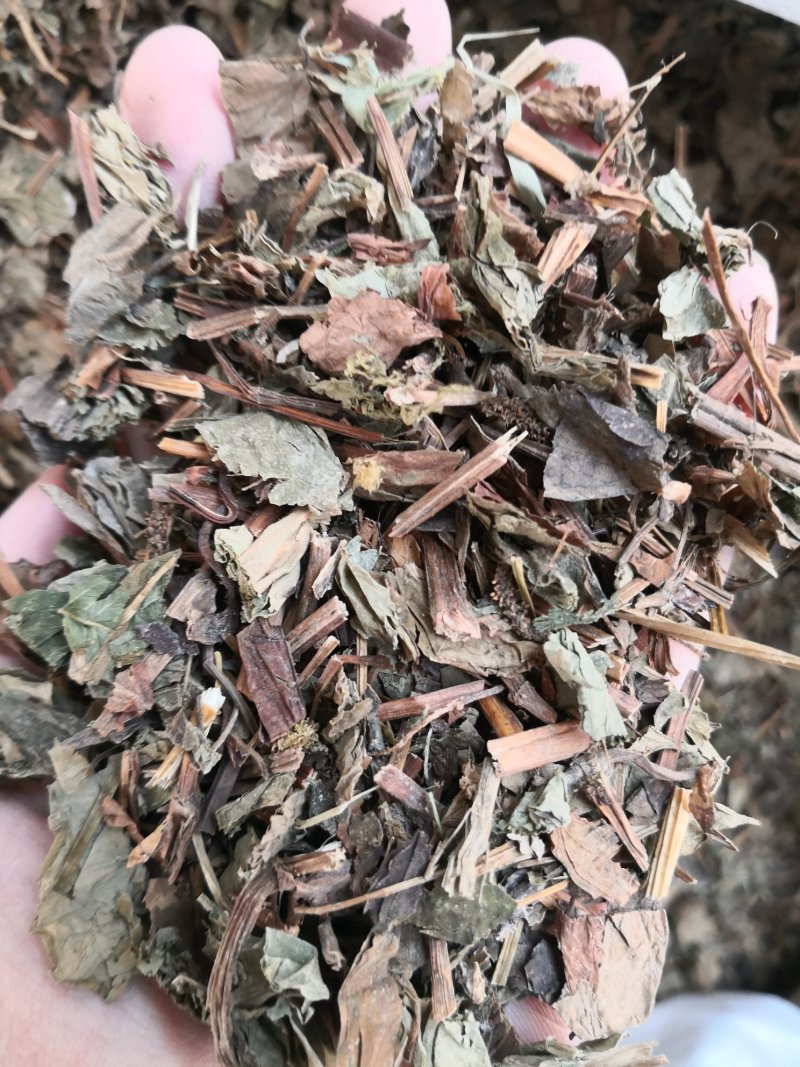 鱼腥草野生鱼腥草无硫无杂质正品保证非便宜货