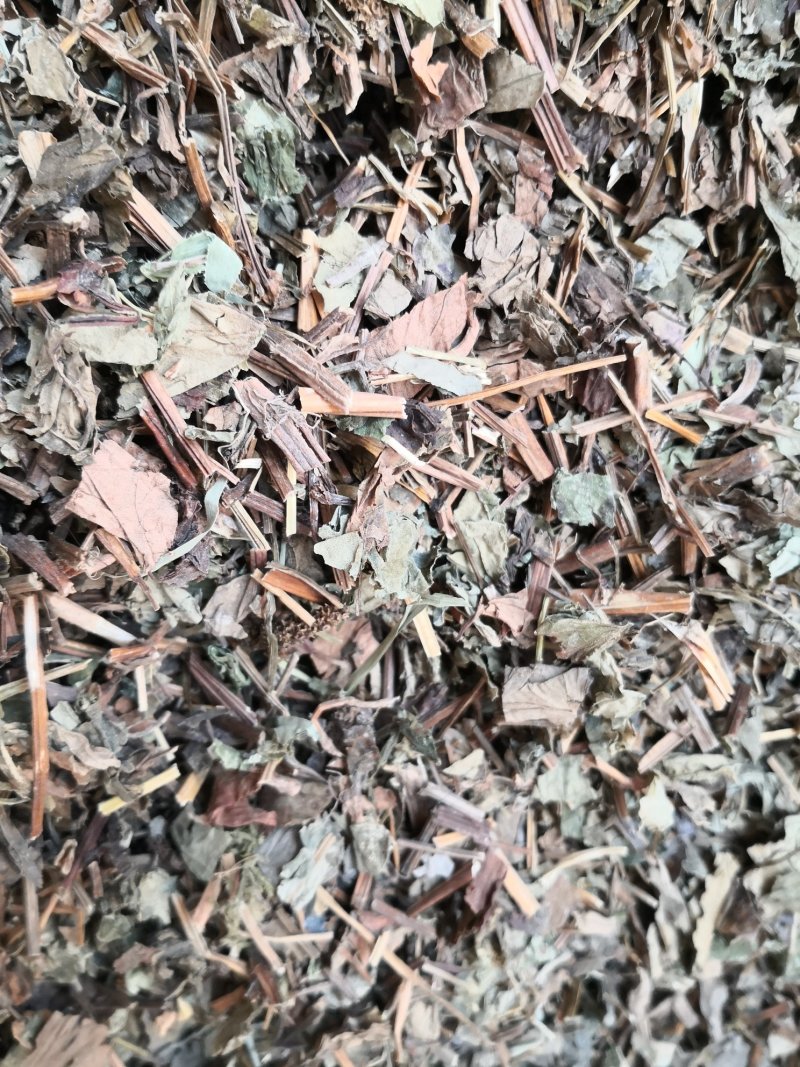 鱼腥草野生鱼腥草无硫无杂质正品保证非便宜货