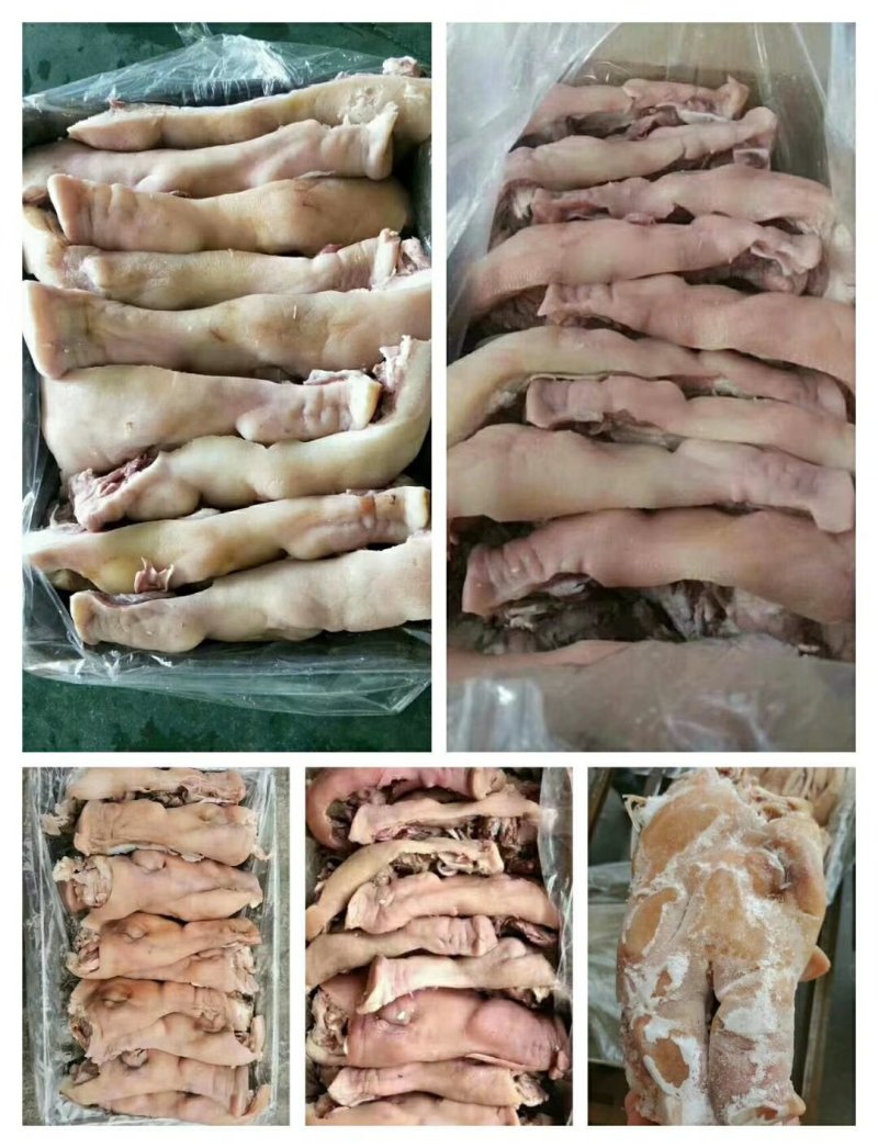 山东省临沂市厂家大量供应五成熟猪头肉