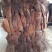 山棕片做棕床垫，棕丝